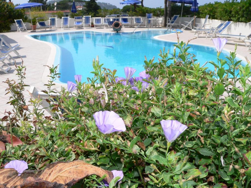 Hotel Parco Conte Casamicciola Terme Exterior foto